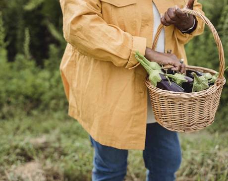 Estampille transforme la lie de vin en or cosmétique